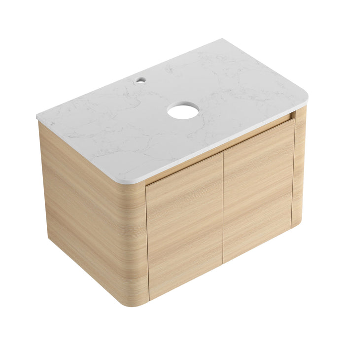 Wall Mounted Bathroom Vanity With Soft Close Door, Excluding Sink