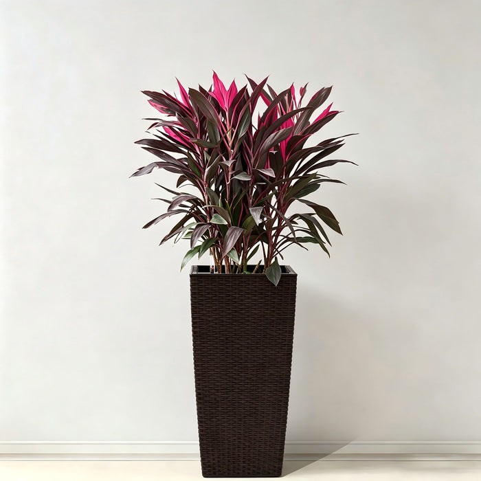 Large Self Watering Flower Pot With Drainage Holes & Inner Tray