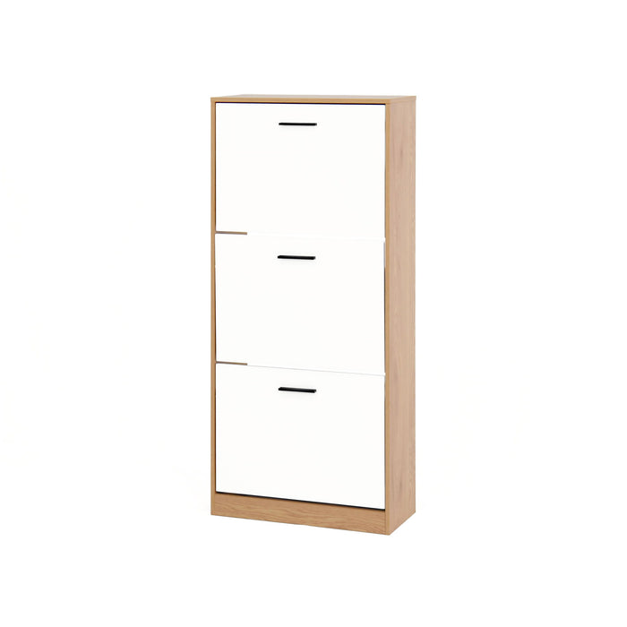 Modern Freestanding Shoe Storage Cabinet With 3 Flip Drawers