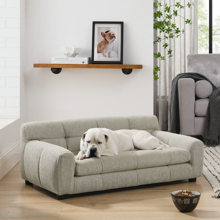 Modern Pet Sofa With Backrest And Armrests