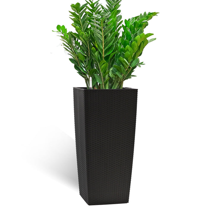 Indoor Outdoor Planter With Automatic Watering System