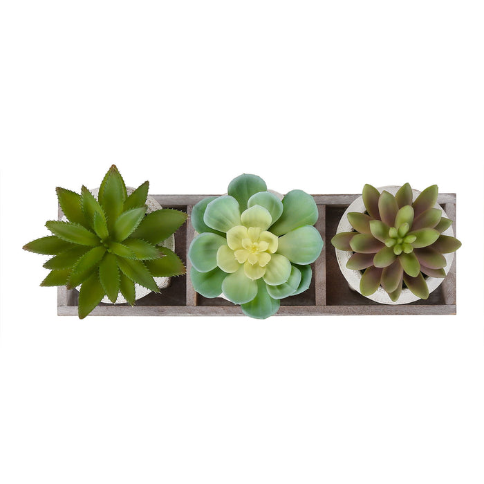 Artificial Succulent, Table Decor (Set of 3) - Green / Beige