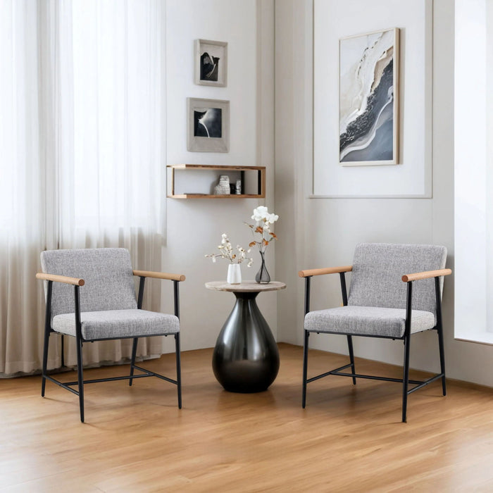 Modern Dining Chair With Iron Frame (Set of 2)