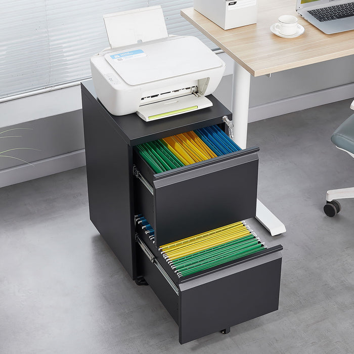 Office Storage Cabinet With 2 Drawers And Lock