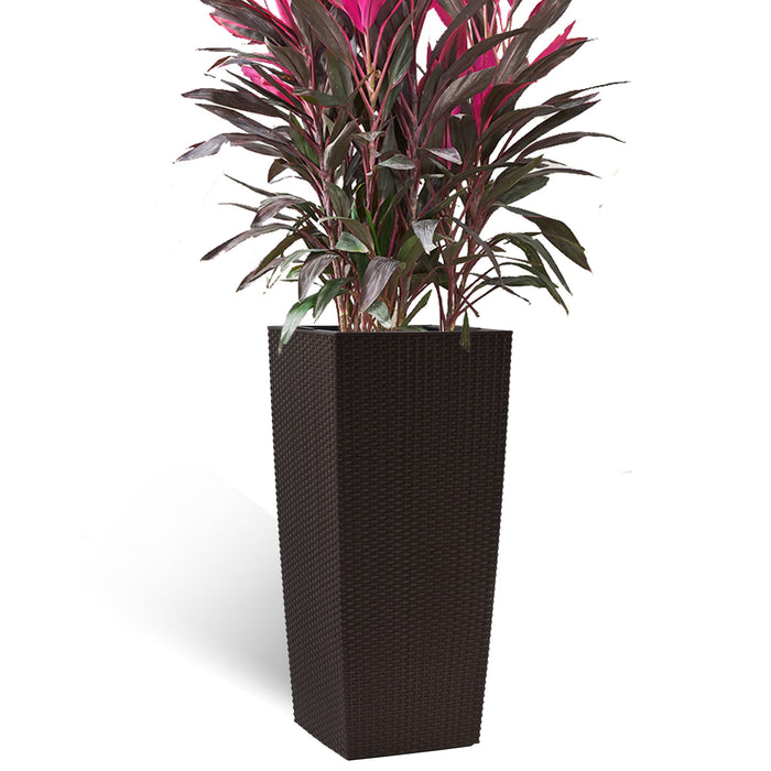 Indoor Outdoor Planter With Automatic Watering System