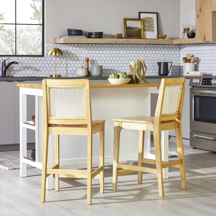 Transitional Counter Stool (Set of 2) - Natural