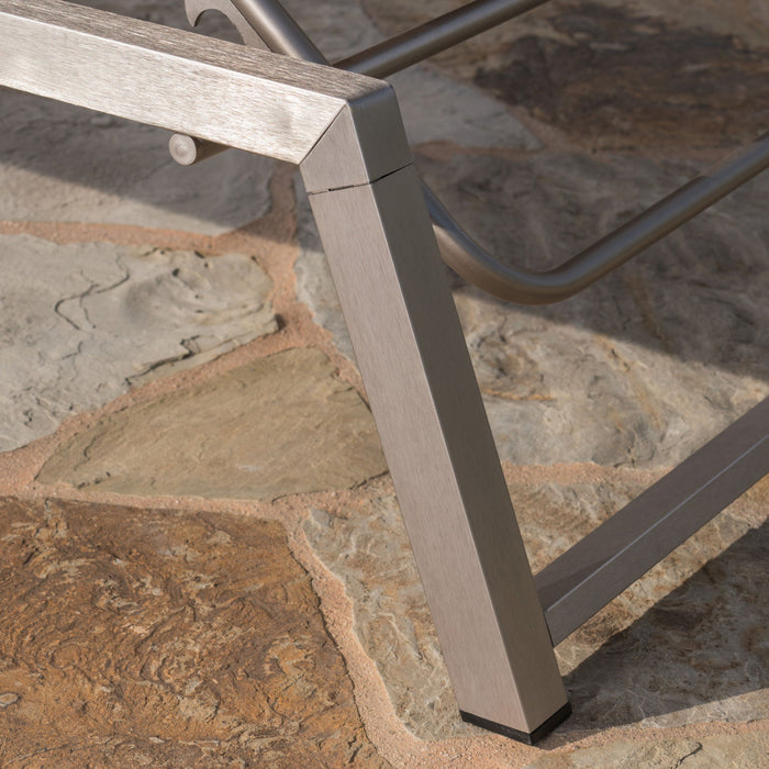 Myers - Modern Chaise Lounge Set With Adjustable Mesh Back