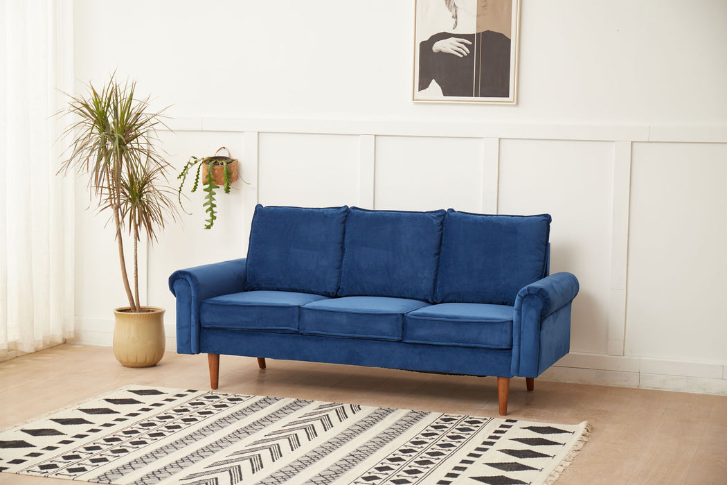 Graceful Design Plush Comfort Sofa