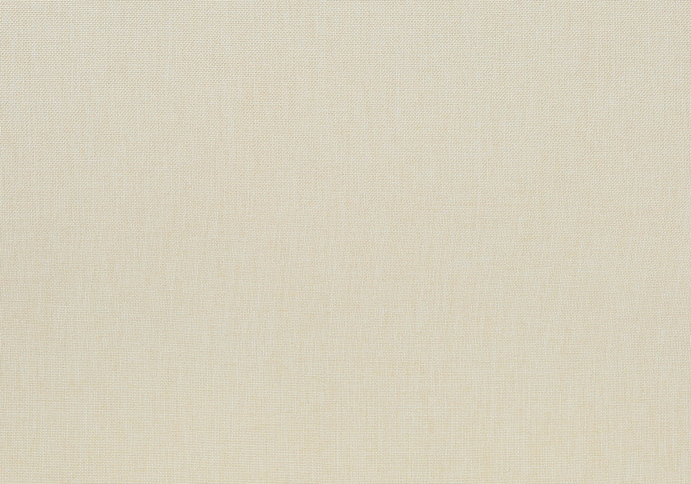 Dining Chair, Upholstered, Dining Room, Transitional (Set of 2) - Cream