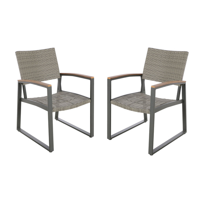 Aresha - Outdoor Dining Armchair (Set of 2) - Gray