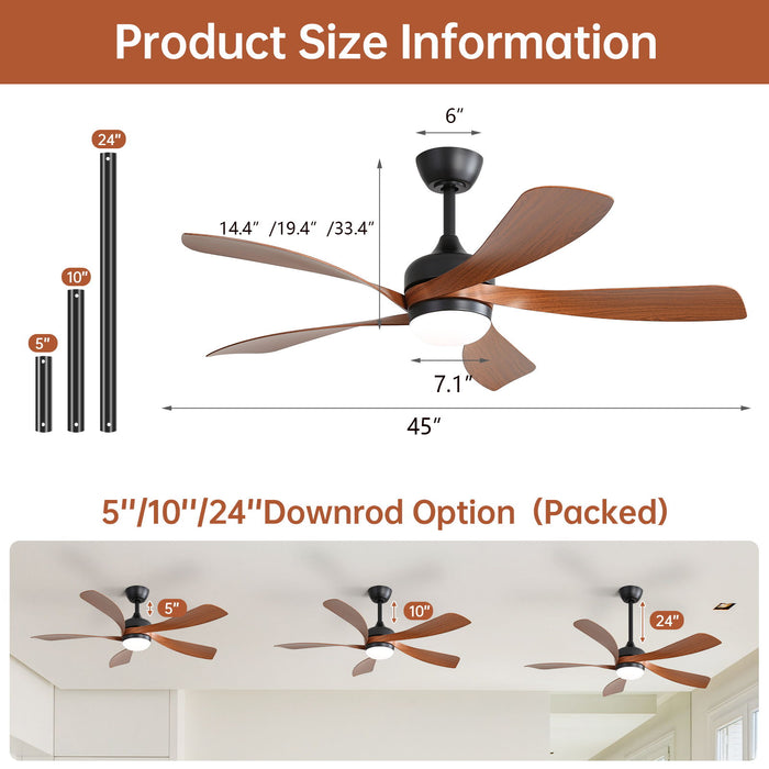 Ceiling Fan & DC Motor And Integrated Light